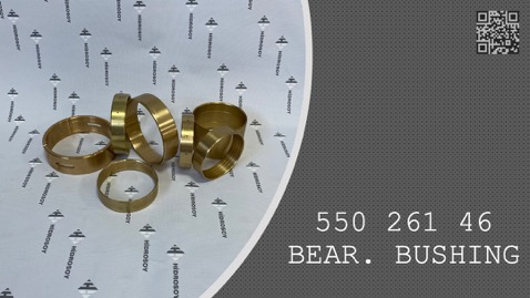 BEARING BUSHING - 550 261 46