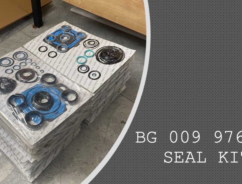 SEAL KIT - BG 009 976 44 - BG00997644